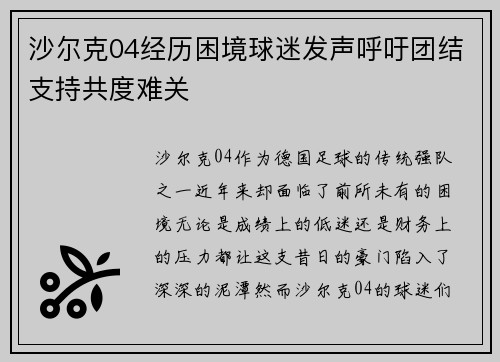 沙尔克04经历困境球迷发声呼吁团结支持共度难关