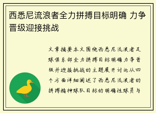 西悉尼流浪者全力拼搏目标明确 力争晋级迎接挑战